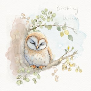 Offer your customers a truly charming birthday card with this delightful design from the Great British Card Company. Featuring a sweet, sleepy owl nestled peacefully on a leafy branch, this card exudes warmth and serenity. The beautiful watercolour illustration uses a soft, muted palette of gentle greens, creams, and earthy tones, creating a tranquil scene that's perfect for conveying heartfelt 'Birthday Wishes'.

This 'Open Birthday Female' card is ideal for a wide range of recipients, offering a touch of understated elegance and cuteness. Stock up with our convenient pack size of 1x6 to ensure your shelves are always ready with this lovely option for any special woman celebrating her birthday.