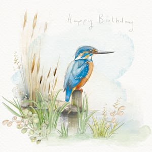 Celebrate her special day with this truly beautiful Open Birthday card, featuring a captivating kingfisher. This exquisite watercolour illustration showcases the bird's vibrant blue and orange plumage, perched serenely on a wooden post amidst delicate reeds and tranquil waters. The soft, natural palette and charming handwritten 'Happy Birthday' message create a card that feels both elegant and heartfelt. Perfect for any female recipient, this design from the Great British Card Company offers a touch of nature's artistry. Available in convenient wholesale packs of six, it’s a delightful choice for your card selection, sure to bring a smile to any birthday celebration.