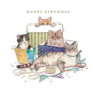 a happy birthday card with three cats in boxes .