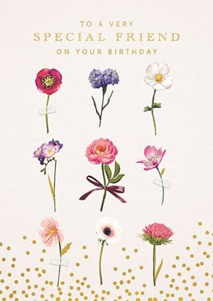 Celebrate those cherished friendships with our beautiful 'Friend Female' birthday card, brought to you by Ling. This exquisite card features a delightful array of nine individual watercolour-style flowers, each delicately illustrated and seemingly 'taped' onto a soft, textured background. The elegant gold lettering proudly declares "TO A VERY SPECIAL FRIEND ON YOUR BIRTHDAY," making it a wonderful choice to convey heartfelt wishes.
Adding a touch of celebratory charm, the card is finished with a scattering of golden confetti at the base. Its thoughtful design and warm sentiment ensure it stands out on any display. Available in a convenient pack size of 1x6, this card is a lovely addition to your greeting card collection, ready to help your customers show appreciation to their special friends.