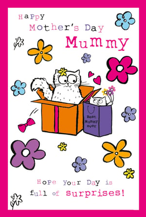 a mother 's day card with a cat in a box