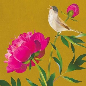 a bird is perched on a pink flower with its beak open .