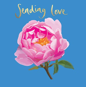 a blue background with a pink flower and the words sending love