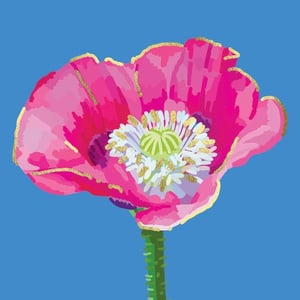 a pink flower with a green stem on a blue background .