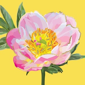 a pink flower with a yellow center is on a yellow background .
