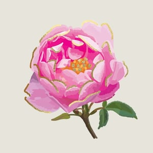 a close up of a pink flower with gold highlights