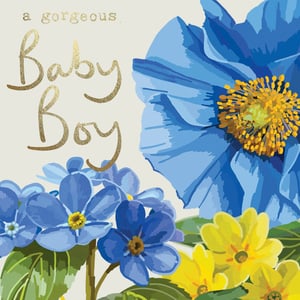 a baby boy card with blue and yellow flowers and the words a gorgeous baby boy