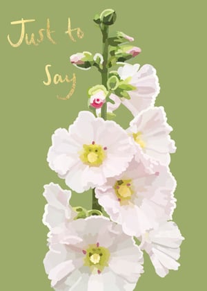 a bunch of white flowers on a green background with the words `` just to say '' written on it .