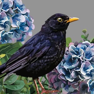 a black bird with a yellow beak is standing next to blue flowers .