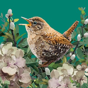 a bird is sitting in a bush with its beak open
