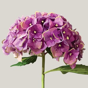 a bunch of purple flowers on a white background