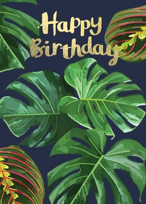 a birthday card with tropical leaves and the words `` happy birthday ''