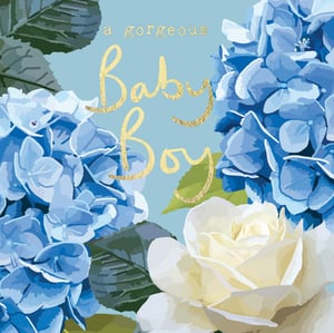 a baby boy card with blue and white flowers and the words " a gorgeous baby boy "