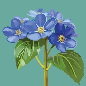 a bunch of blue flowers with green leaves on a blue background