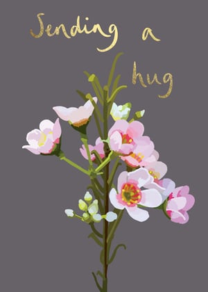 a greeting card with flowers and the words `` sending a hug ''