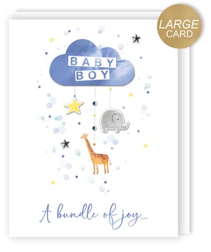 a large card for a baby boy says a bundle of joy