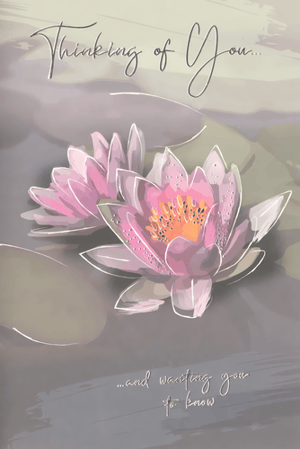 Offer a gentle message of care with our Sympathy Thinking Of You cards, supplied by Simon Elvin. This lovely design showcases two gracefully illustrated pink water lilies, resting peacefully on calm waters. The soft, soothing colour palette and delicate artistic style create a serene image, ideal for conveying comfort and support. The tender message, "Thinking of You... and wanting you to know," is elegantly displayed, providing a heartfelt way to connect during difficult times. Each wholesale pack contains 6 identical cards, making them a thoughtful addition for retailers looking to offer sensitive options to their customers.