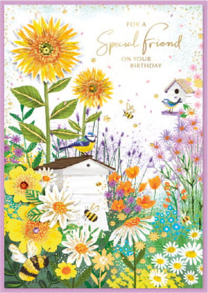 a birthday card that says for a special friend on your birthday