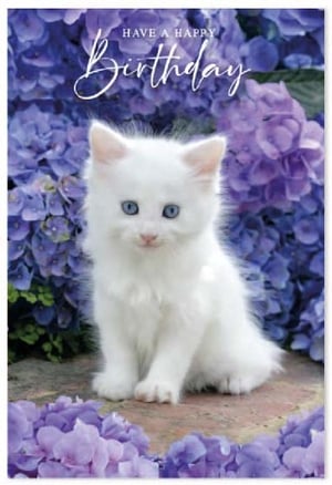 a white kitten with blue eyes is sitting in front of purple flowers .