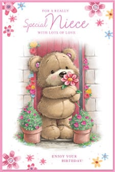 a birthday card for a special niece with lots of love