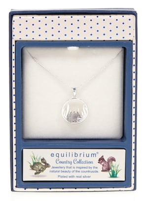 a necklace in a box that says equilibrium country collection