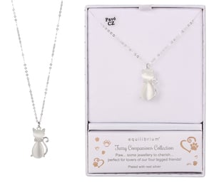 a necklace in a box that says equilibrium on it