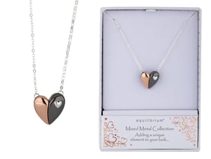 a necklace in a box that says ' equilibrium ' on it