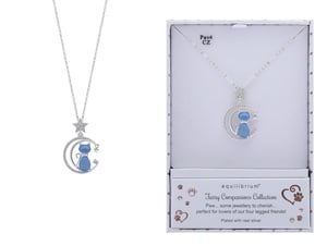 a necklace in a box that says equilibrium