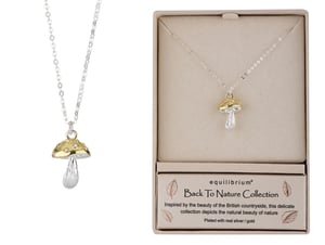 a necklace in a box that says equilibrium back to nature collection
