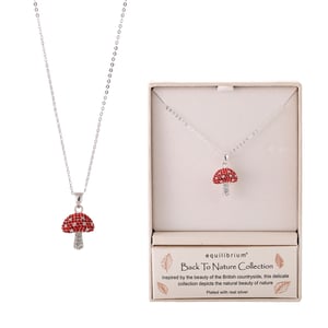 a necklace in a box that says equilibrium back to nature collection