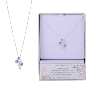 a necklace in a box that says equilibrium on it