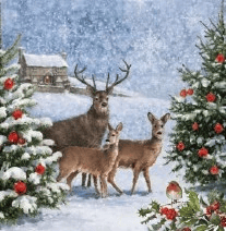 Add a delightful touch to festive tables with our Three Deers At Christmas Lunch Napkins. Each pack offers 20 high-quality, 3-ply napkins, showcasing a beautiful winter wonderland scene. A majestic stag and two elegant deer stand amidst snow-dusted fir trees, adorned with classic red baubles, while a friendly robin perches on holly. This heartwarming design is perfect for Christmas lunches, family dinners, or any seasonal celebration. Supplied by Anniversary House, these napkins are a wonderful way to enhance holiday decor. Available in a convenient 1x3 pack size, they're an excellent choice for retailers looking to offer charming and practical festive essentials to their customers.