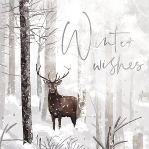 Embrace the beauty of winter with these delightful 'Stag In Forest' cards from Second Nature. Each pack contains 10 cards, showcasing a striking stag in a tranquil, snow-dusted forest, complete with the elegant message 'Winter wishes'. The soft, illustrative style captures the serene atmosphere of a snowy woodland. What's more, these cards offer a meaningful way to send greetings, as a contribution from every purchase supports EACH (East Anglia's Children's Hospices). Available in wholesale packs of 6, they are an excellent choice for retailers seeking distinctive and charitable festive stationery.