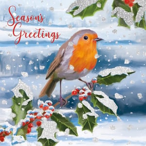 Bring a touch of classic festive charm to your customers' season with these delightful Robin Cards. Featuring a beloved robin redbreast perched on a snow-dusted holly branch, complete with vibrant red berries and shimmering glitter accents, this design truly captures the magic of winter. The elegant 'Season's Greetings' script adds a warm, traditional touch.

Each retail pack contains 10 beautiful cards, perfect for sharing holiday cheer. What's more, these cards support EACH, making them a thoughtful choice for a good cause. Supplied by Second Nature, these cards come in wholesale packs of 6, ready to stock for the festive period. A truly heartwarming option for any Christmas card display.