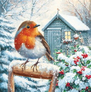 Bring a touch of winter charm to your customers with our delightful "British Birds" card packs, proudly from the Great British Card Company. Each pack contains 16 beautiful cards, featuring 8 of each of two enchanting designs. One design, as pictured, captures the heartwarming sight of a plump robin perched on a snow-dusted chair in a festive garden, complete with a cosy shed and vibrant holly berries. These cards are perfect for sending warm wishes during the colder months or for any bird lover. Stock up with our convenient 1x6 pack size, ensuring you have plenty of these lovely cards on hand. A truly charming addition to any retail offering!
