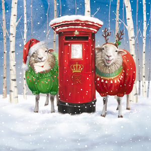 Bring a touch of festive cheer to your customers with these adorable Christmas cards! Featuring two charming sheep in their finest winter wear, this design captures the magic of a snowy British winter. One sheep, sporting a Santa hat, holds a special letter, while its friend wears playful reindeer antlers, both snug in their colourful jumpers beside a classic red post box.
This delightful pack, '16 Snowy Sheep In Jumpers', includes 8 cards of each of these two heartwarming designs. Supplied by the Great British Card Company, each wholesale pack contains 6 units, perfect for retailers looking to stock unique and joyful Christmas greetings. A truly lovely way to send season's greetings!