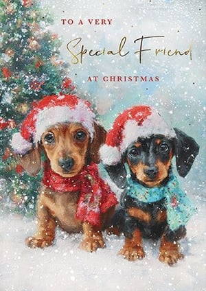 Introduce the ultimate dose of festive cuteness to your Christmas card selection with our 'Friend' design. This enchanting card features two adorable dachshund puppies, one a rich brown with a red scarf, the other a charming black and tan with a teal scarf, both sporting classic Santa hats. They are pictured in a magical snowy landscape, complete with a sparkling Christmas tree. The heartfelt message, "TO A VERY Special Friend AT CHRISTMAS," makes this card an ideal choice for customers looking to send warm wishes to their dearest friends. Supplied by the Great British Card Company in a convenient 1x6 pack, this delightful card is a must-have for your seasonal range.