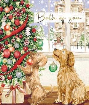 Bring festive cheer to your customers with this delightful 'To Both Of You' Christmas card from the Great British Card Company. This charming watercolour illustration captures two adorable dogs playfully decorating a beautifully adorned Christmas tree, complete with twinkling lights, vibrant baubles, and festive ribbons. Through the window, a serene snowy scene adds to the cosy winter atmosphere. The elegant gold script wishing 'Both of you' a Merry Christmas makes this card perfect for couples, families, or any two special people. Supplied in a convenient pack of 6, it's an ideal addition to your seasonal greeting card selection, promising to warm hearts this holiday season.
