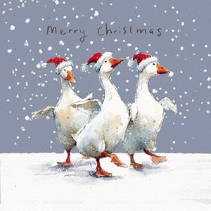 Bring a smile to every face this festive season with these utterly charming Christmas cards from the Great British Card Company! Featuring three delightful geese, all decked out in their very best Santa hats, merrily making their way through a gentle snowfall. The beautiful watercolour artwork captures the joy and whimsy of Christmas perfectly.

These 'Open' Christmas cards are ideal for sending warm wishes to anyone and everyone on your customers' lists. Each pack contains 6 cards, making them a convenient and popular choice for your retail display. A truly heartwarming design that's sure to be a firm favourite this winter!