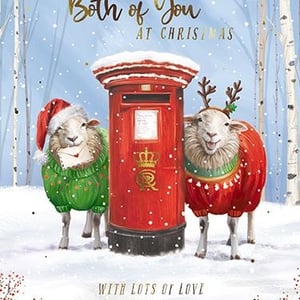 "To Both Of You" Christmas Card - Pack of 6
Add a touch of whimsical charm to your Christmas card selection with this delightful design from the Great British Card Company. Perfect for sending warm wishes to a special couple, this card features two adorable sheep, dressed in festive jumpers and headwear, standing beside a classic red post box in a beautiful snowy landscape. One sheep even holds a tiny letter, ready to be sent! This charming illustration captures the magic of a traditional British Christmas. Each wholesale pack contains 6 cards, ensuring your customers can share the festive joy with their loved ones.