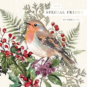 Introduce a touch of festive charm to your Christmas card collection with this beautiful design from the Great British Card Company. Featuring a beloved robin, a quintessential symbol of the season, perched amongst vibrant red berries and lush winter foliage, this card is sure to delight.
The delicate artistry captures the true spirit of Christmas, with subtle snowy accents adding to its timeless appeal. Perfect for sending warm wishes to a 'Special Friend' this holiday season, this card is a wonderful choice for your customers. Each pack contains 6 cards, ready to bring joy to many.