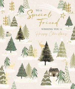Share the magic of the season with our 'Friend' Christmas card, a truly delightful design from Ling. This beautiful card features a serene winter wonderland, brought to life with charming watercolour-style illustrations of snow-dusted evergreen trees, twinkling lights, and graceful golden deer. Elegant gold accents highlight the heartfelt message, "TO A Special Friend WISHING YOU A Happy Christmas," adding a touch of festive sparkle. Perfect for conveying warm holiday wishes, this card is sure to bring joy to any special friend. Available in a convenient pack of 6, it’s an ideal addition to your seasonal greeting card selection.