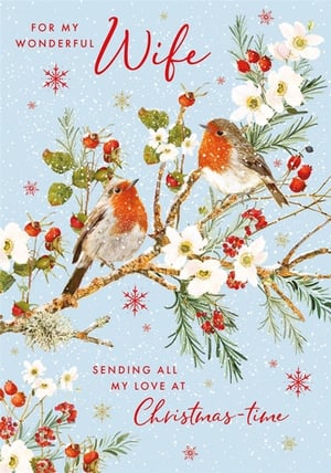 Show your wonderful wife how much she means to you this Christmas with this enchanting card from Nigel Quiney Publications. Featuring two charming robins nestled amongst snow-dusted branches, delicate white flowers, and festive red berries, it beautifully captures the warmth and magic of the season.

The loving message "FOR MY WONDERFUL Wife" and "SENDING ALL MY LOVE AT Christmas-time" makes it a truly special choice for expressing heartfelt affection. This delightful design is perfect for customers seeking a traditional yet touching Christmas card.

Each pack contains 6 cards, ready for your retail display.