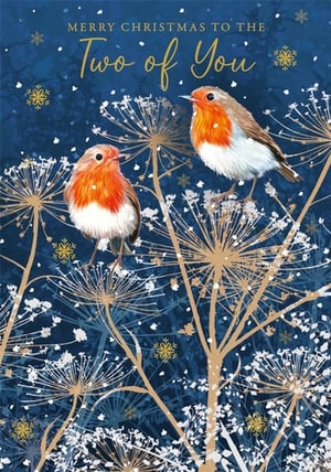 "To Both Of You" Christmas Card.
Send warm festive wishes with this enchanting Christmas card, perfect for any special couple. From Nigel Quiney Publications, this beautiful design features two delightful robins, their iconic red breasts standing out against a serene winter backdrop. Golden seed heads and delicate white snowflakes create a magical scene on a rich, deep blue. The elegant gold text, "Merry Christmas to the Two of You," adds a heartfelt touch. This charming card is sure to bring joy. Available in a wholesale pack of 6, it's an ideal addition to your seasonal greeting card selection.