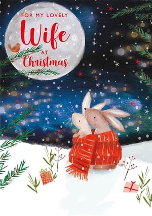 Capture the magic of Christmas with this utterly charming card, perfect for a beloved wife. Featuring two adorable rabbits snuggled together in a cosy red scarf, they gaze up at a beautiful moonlit, snowy sky. Delicate pine branches, twinkling lights, and tiny gifts add to the festive winter wonderland scene. The heartfelt message 'For My Lovely Wife at Christmas' is beautifully displayed on the moon, making this card a truly special way to express your love. From Nigel Quiney Publications, this delightful design comes in a convenient pack of 6, ready to bring warmth and joy to your customers this festive season.