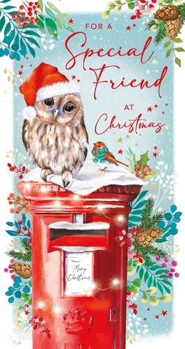 Offer your customers a truly heartwarming choice this Christmas with our 'Friend' card from Nigel Quiney Publications. This delightful design showcases an adorable owl, complete with a festive Santa hat, perched on a snow-dusted red post box. A charming robin, sporting a cosy scarf, adds to the enchanting winter scene, which is beautifully framed by traditional holly, berries, and twinkling lights. The elegant script reads "FOR A Special Friend AT Christmas," making it the ideal way to send warm wishes to those closest to us. With its captivating illustration and classic festive appeal, this card is sure to be a popular pick. Available in a handy pack size of 1x6, it's perfect for stocking your shelves this holiday season.