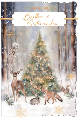 Offer your customers a truly special way to send festive greetings with this exquisite 'Brother & Sister In Law' Christmas card. This enchanting design captures the serene beauty of a winter wonderland, featuring a sparkling Christmas tree adorned with warm lights, surrounded by beloved woodland animals including a graceful deer, an observant owl, a curious fox, a sweet rabbit, and a busy squirrel. The soft, illustrative artwork and gentle snowfall evoke a sense of peace and joy. From Out of The Blue Studios Ltd., these heartwarming cards come in a convenient pack of 6, perfect for adding a touch of magic to any Christmas display.