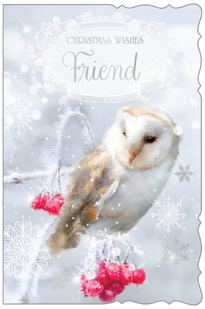 Elevate your Christmas card offering with our delightful 'Friend Female' design. This enchanting card features a serene barn owl, beautifully rendered amidst a snowy landscape with frosted branches and vibrant red berries. The elegant "Christmas Wishes Friend" message is framed by delicate, sparkling details, creating a truly heartwarming greeting. It's the perfect choice for customers seeking a special card to send to a cherished female friend this festive season. From Out of The Blue Studios Ltd, these charming cards come in a convenient pack size of 1x6, ready to add a touch of winter wonder to your retail display.