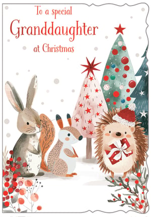 Make her Christmas extra special with this enchanting card for your Granddaughter. Featuring a delightful watercolour scene, this card showcases adorable woodland friends – a sweet rabbit, a charming squirrel, and a festive hedgehog in a Santa hat, ready with a gift! Whimsical Christmas trees and winter berries complete this heartwarming design, perfect for sending love and festive cheer. The beautiful artwork creates a truly memorable card for any special granddaughter. Supplied by Out of The Blue Studios Ltd, these lovely cards come in a convenient pack of 6, ready for your customers to share the joy this holiday season.