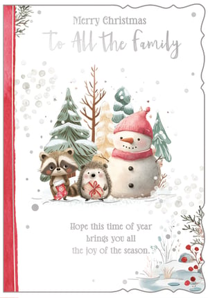 Spread festive cheer with our adorable 'Neighbours' Christmas cards, perfect for sending warm wishes to all the family. This charming design from Out of The Blue Studios Ltd. features a delightful trio: a sweet raccoon holding a festive stocking, a cute hedgehog with a wrapped gift, and a jolly snowman in a cosy pink hat.
Set against a whimsical snowy forest backdrop with sparkling details, these cards capture the magic of the season. The heartfelt message, "Merry Christmas To All the family, Hope this time of year brings you all the joy of the season," makes them ideal for sharing love and happiness. Available in a convenient pack of 6, these cards are sure to bring smiles to your customers' faces.